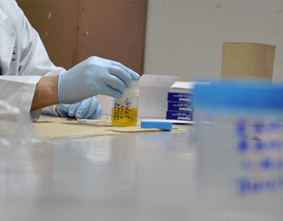  Laboratorio 